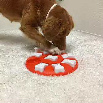 Nina Ottosson - DOG SMART Niveau 1