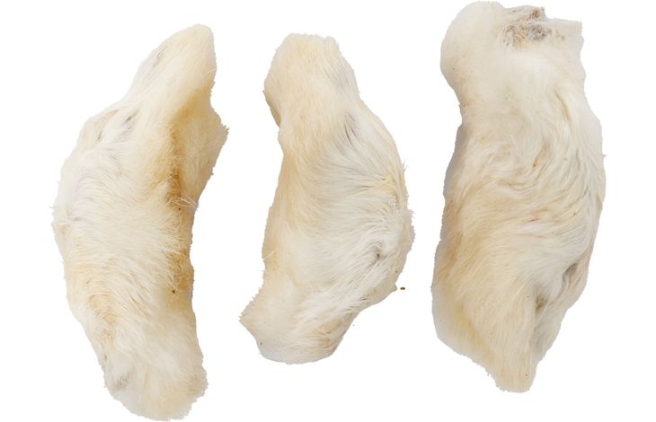 Pattes de lapin avec poils 200g 🐇
