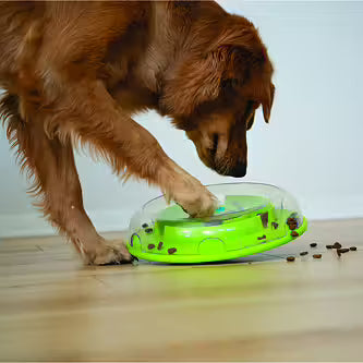Nina Ottosson - WOBBLE BOWL Niveau 1