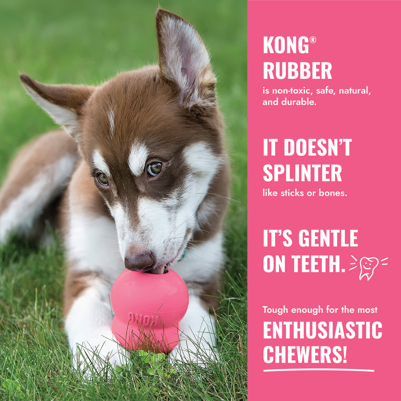 Kong® Puppy Goodie Bone Rose