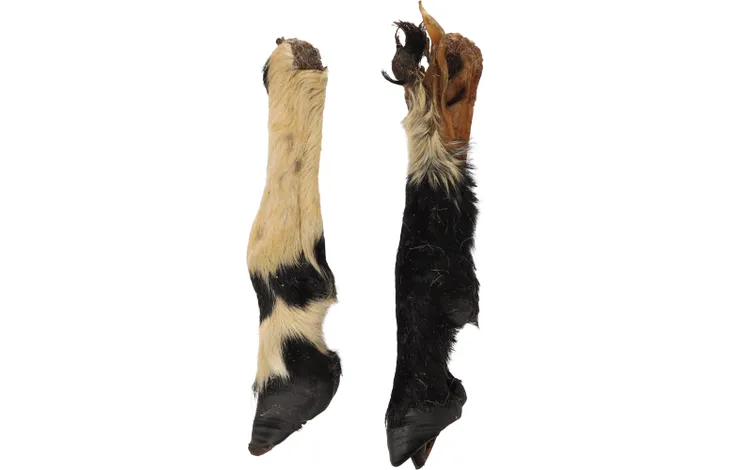 Pied de Mouton avec poils VRAC đ