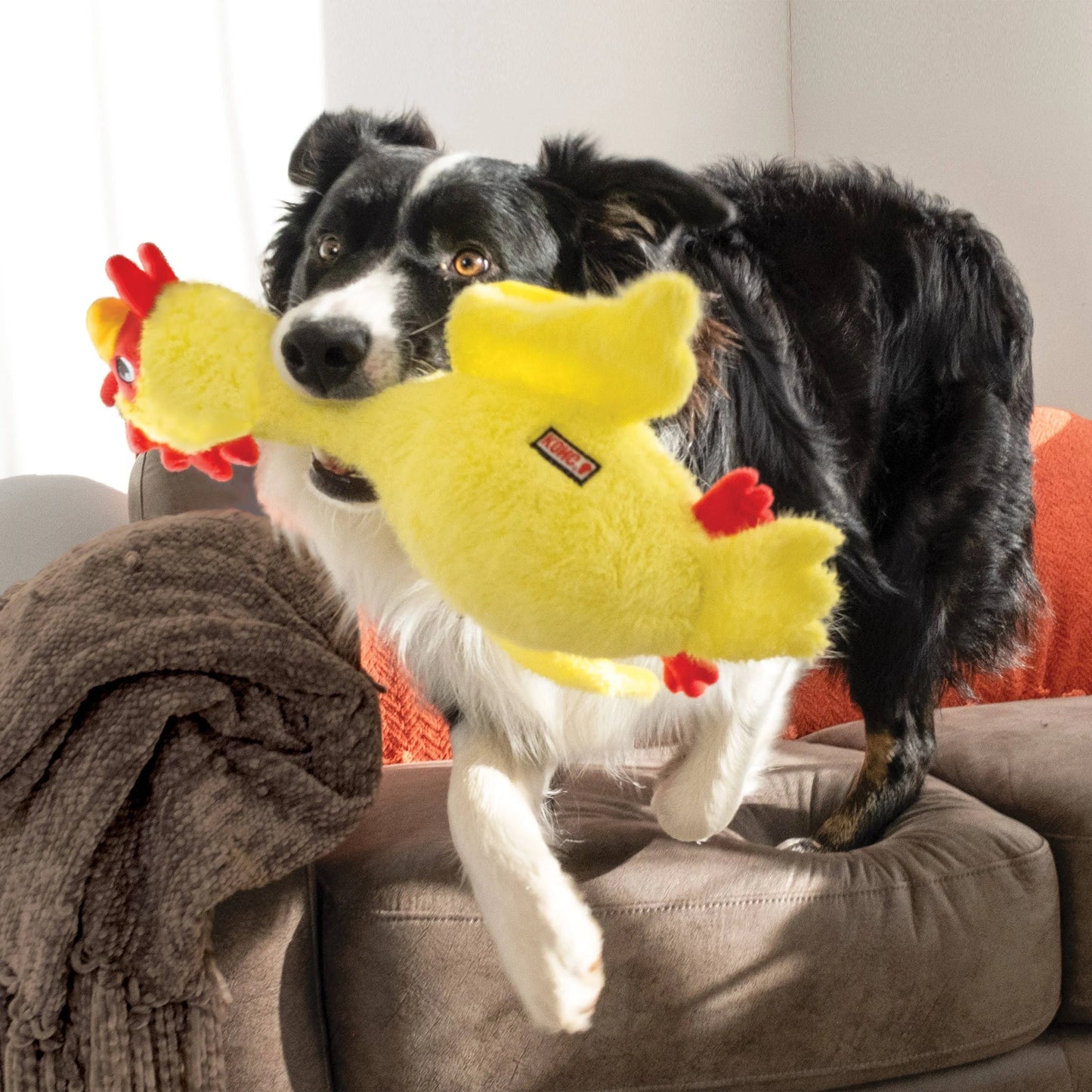 Kong® Scruffs Poulet