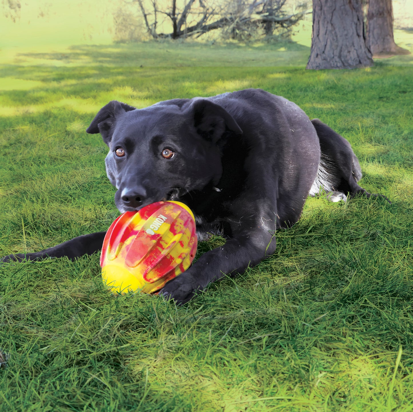 Kong® Flexball Sport Football