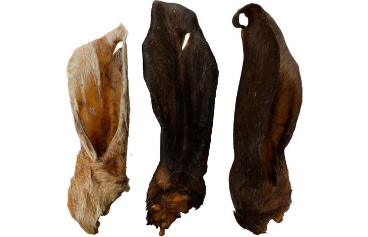 Oreille de Chèvre avec poils 200g 🐐