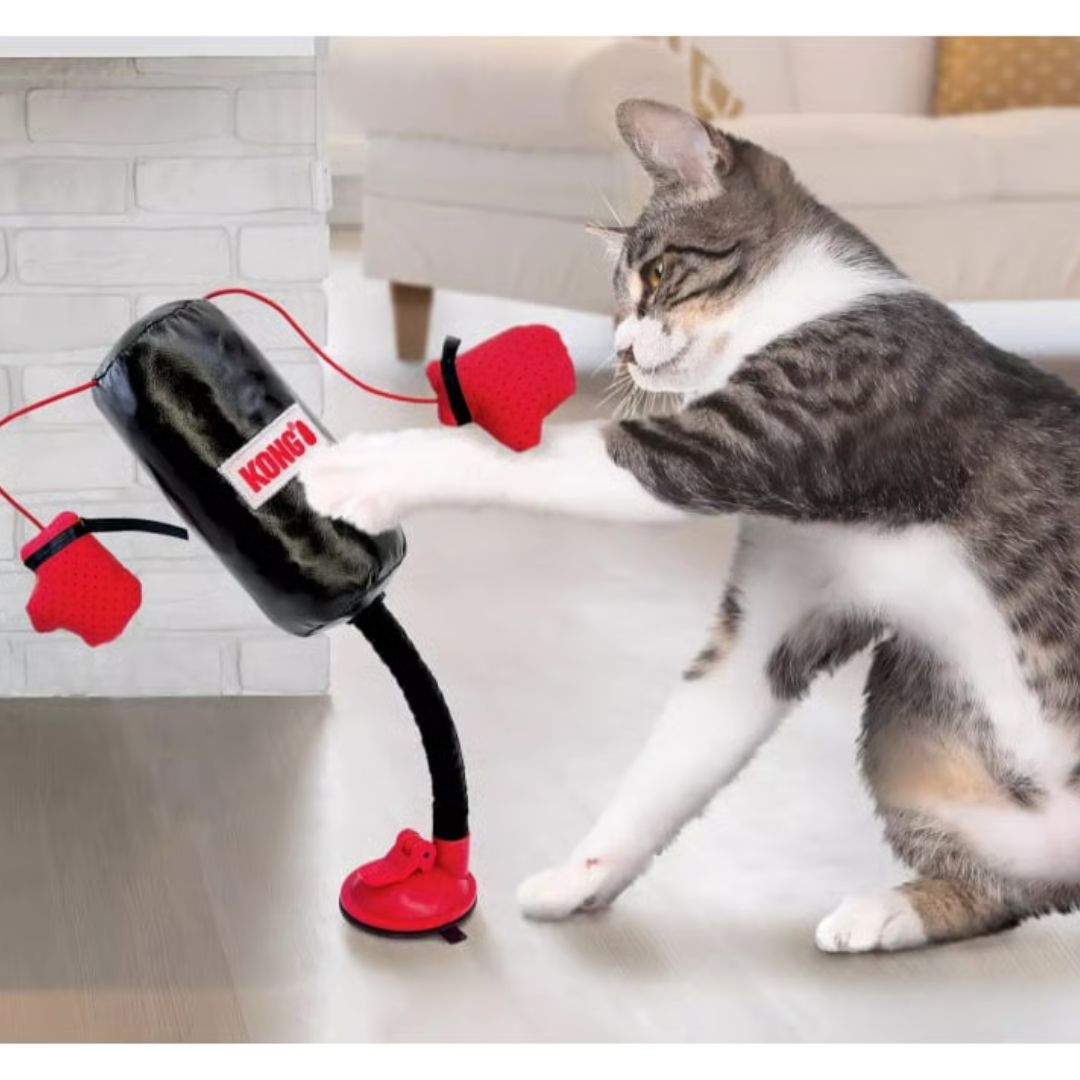Kong® Connects Punching Bag pour chat