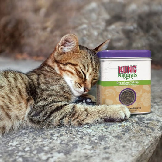 Kong® Herbe à Chat Naturals Premium Catnip