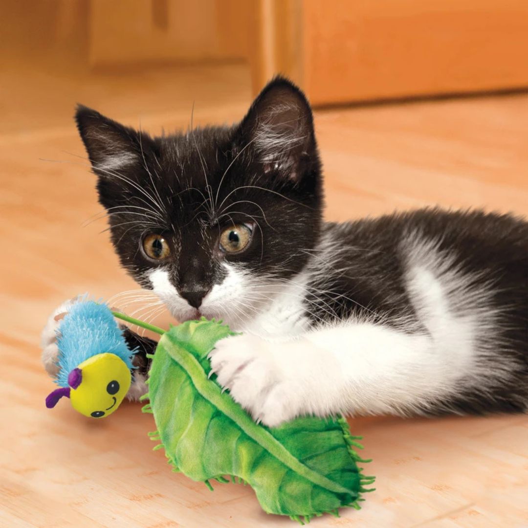 Kong® Jouet Flingaroo Caterpillar pour Chat