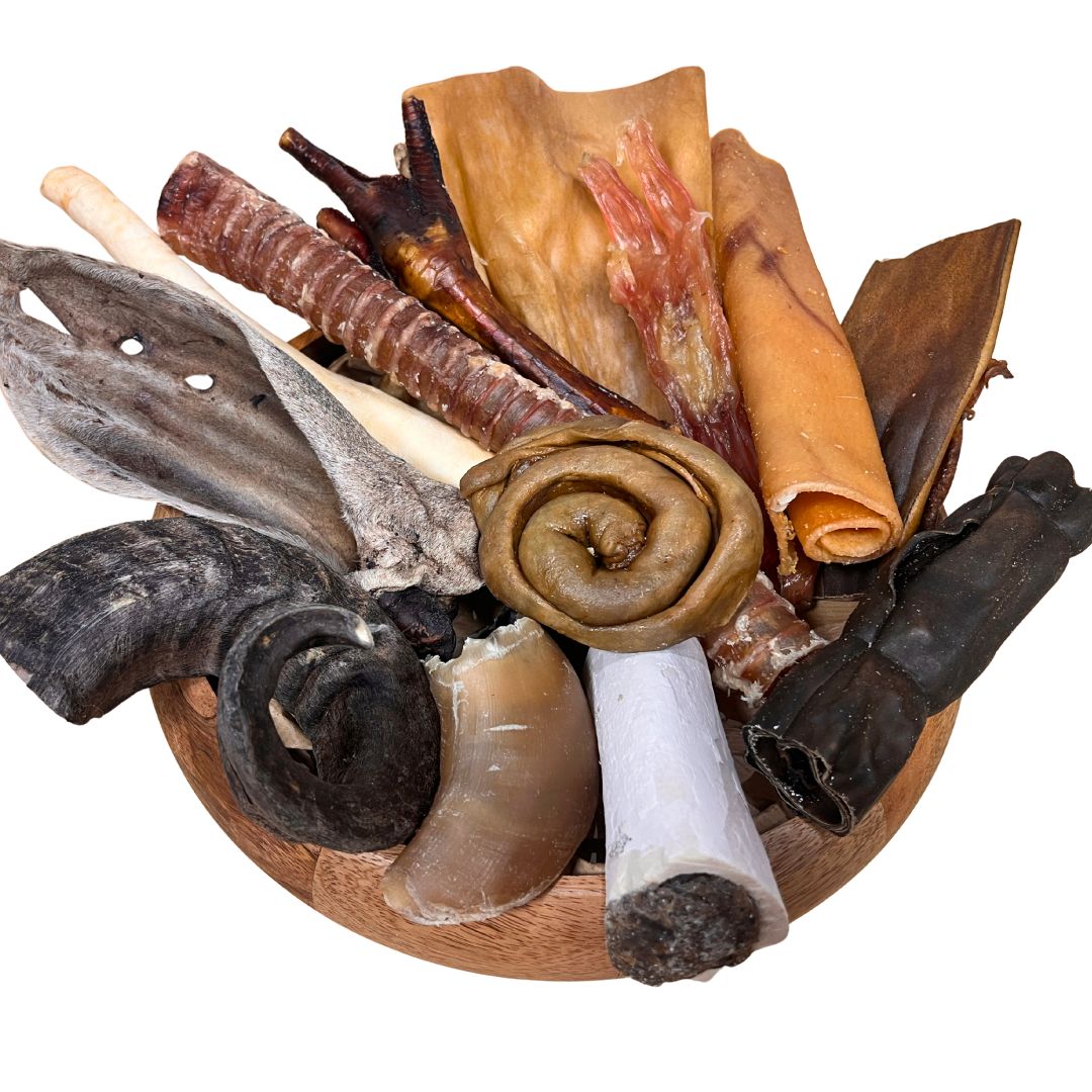 MasticaBOX - Mâchoire d’Acier