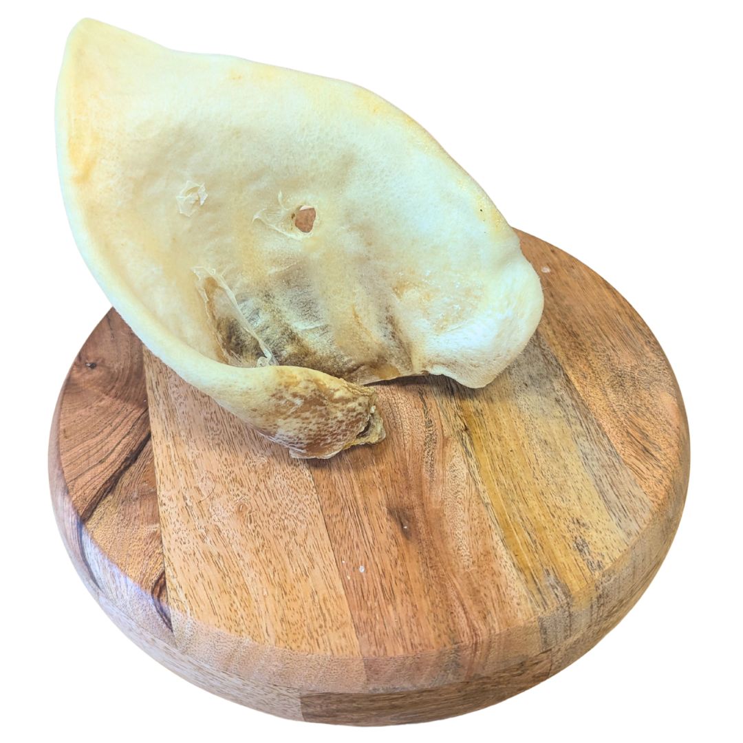 Oreille de Porc Soufflé XL