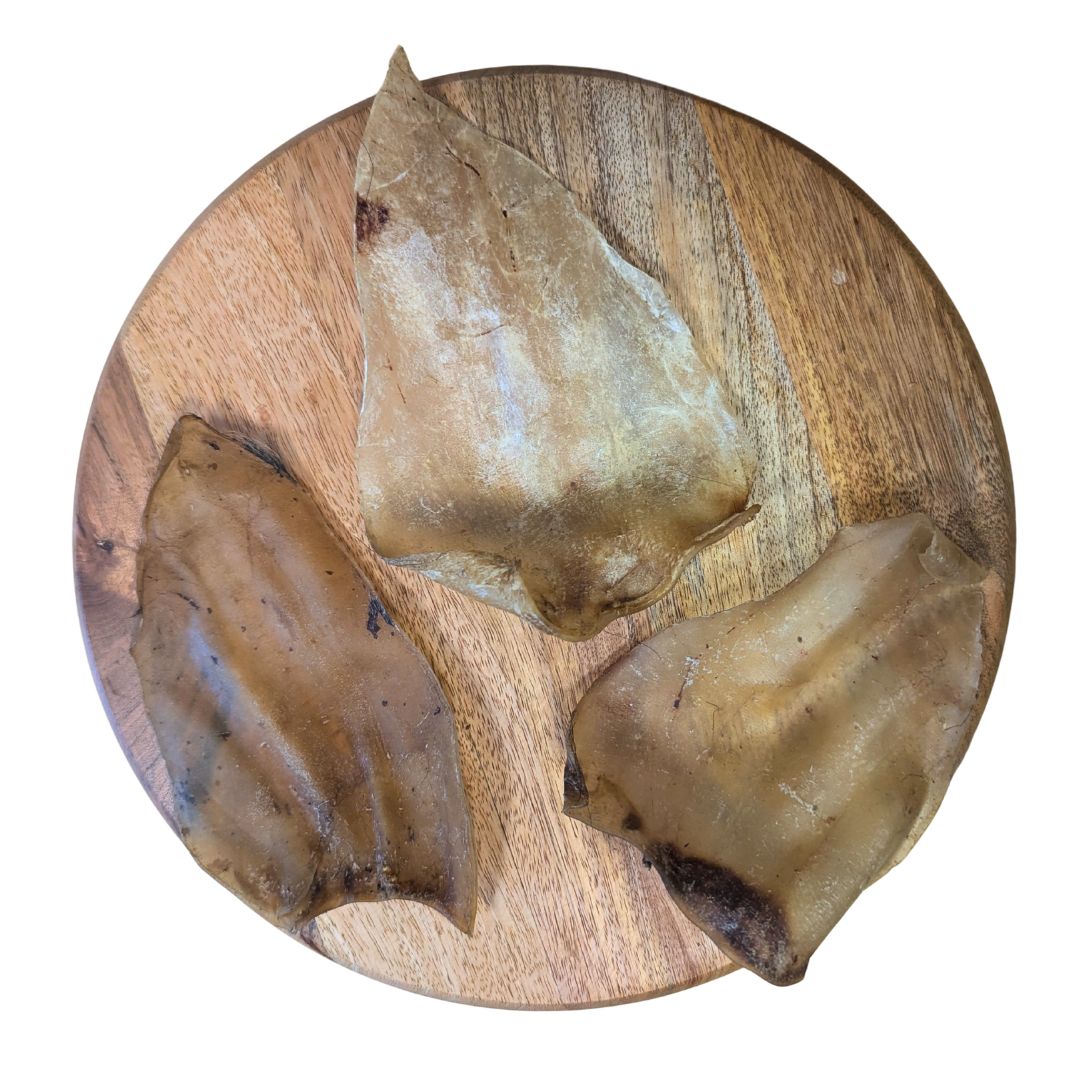 Oreille de bœuf sans cartilage