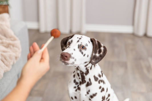 Lolly au cabillaud