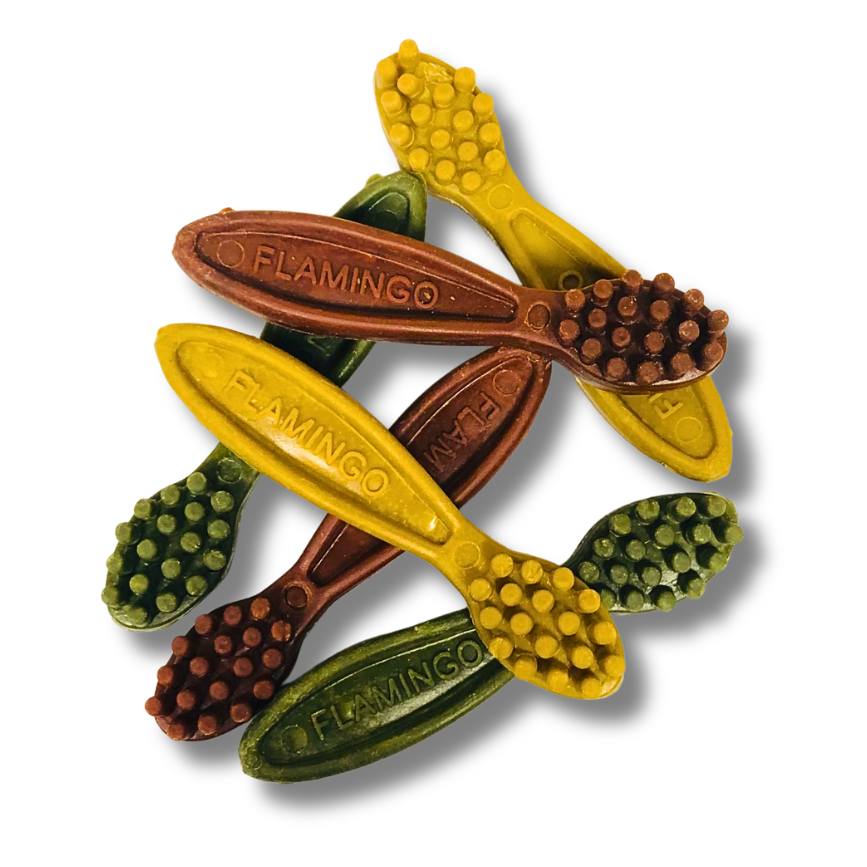 Friandise Veggie Brosse à dents 🌿