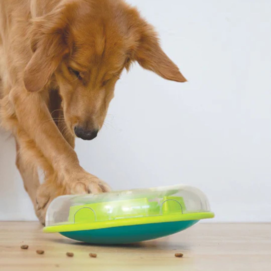 Nina Ottosson - WOBBLE BOWL Niveau 1