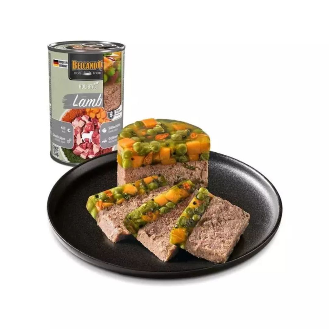 BELCANDO - Boîte Holistic Agneau