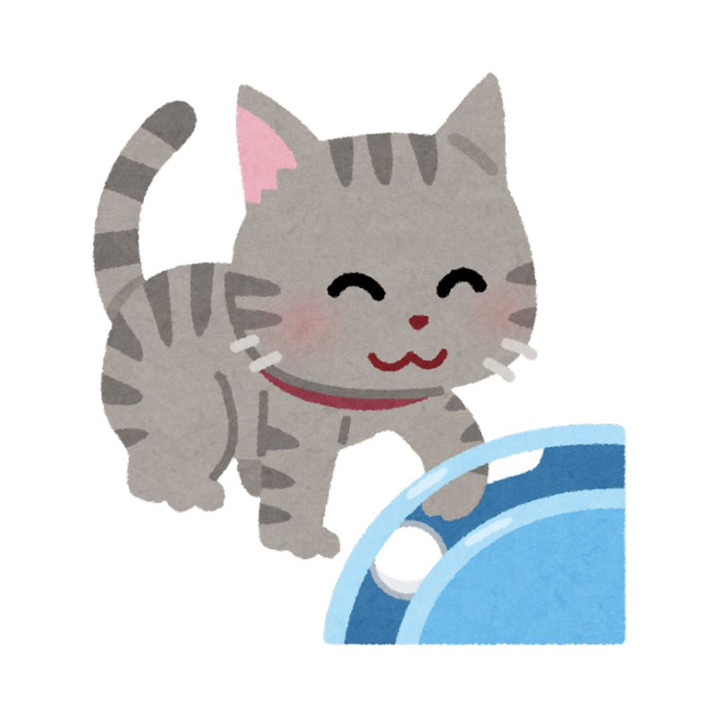 Jouets pour Chat