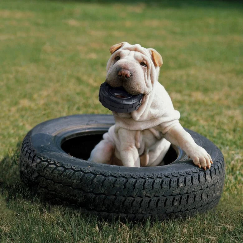 Kong® Extreme Tyres