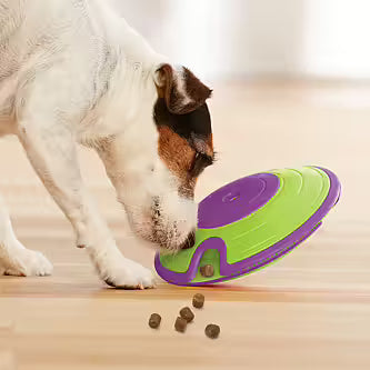 Nina Ottosson - DOG TREAT MAZE Niveau 2