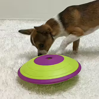 Nina Ottosson - DOG TREAT MAZE Niveau 2