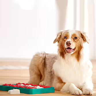 Nina Ottosson - DOG BRICK Niveau 2