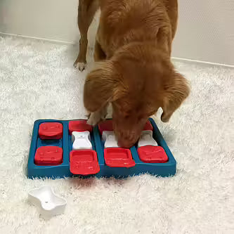 Nina Ottosson - DOG BRICK Niveau 2