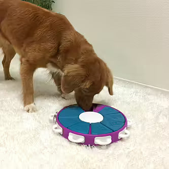 Nina Ottosson - DOG TWISTER Niveau 3
