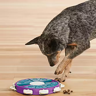 Nina Ottosson - DOG TWISTER Niveau 3