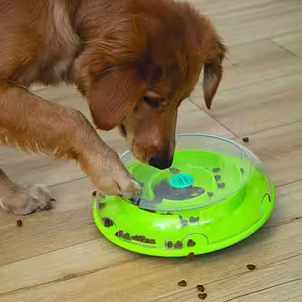 Nina Ottosson - WOBBLE BOWL Niveau 1