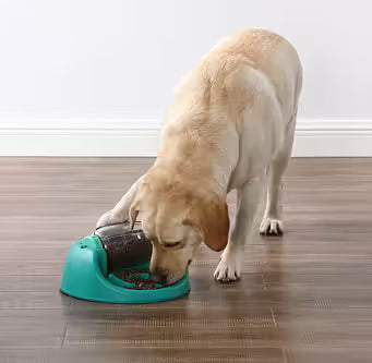Nina Ottosson - DOG SPIN N´ EAT Niveau 2