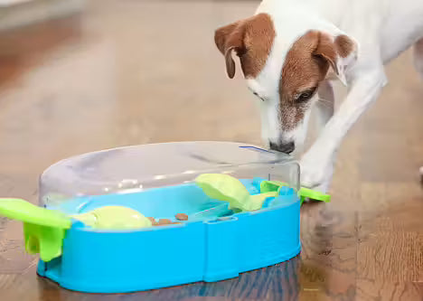 Nina Ottosson - PAW N' PLAY Niveau 2