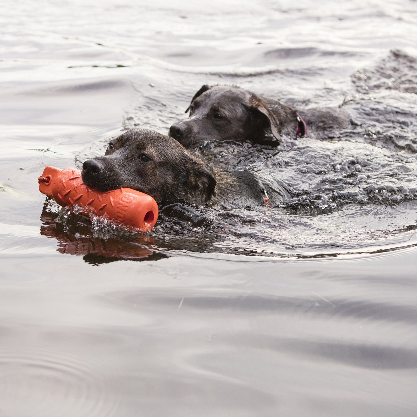 Kong® Training Dummy