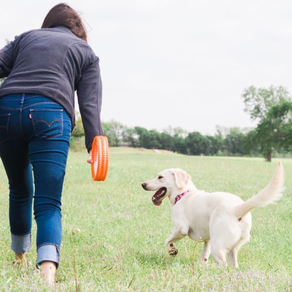 RUGGED FETCH WHEEL Chuckit!⭕