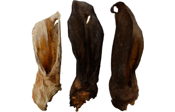 Oreille de Chèvre avec poils 200g 🐐
