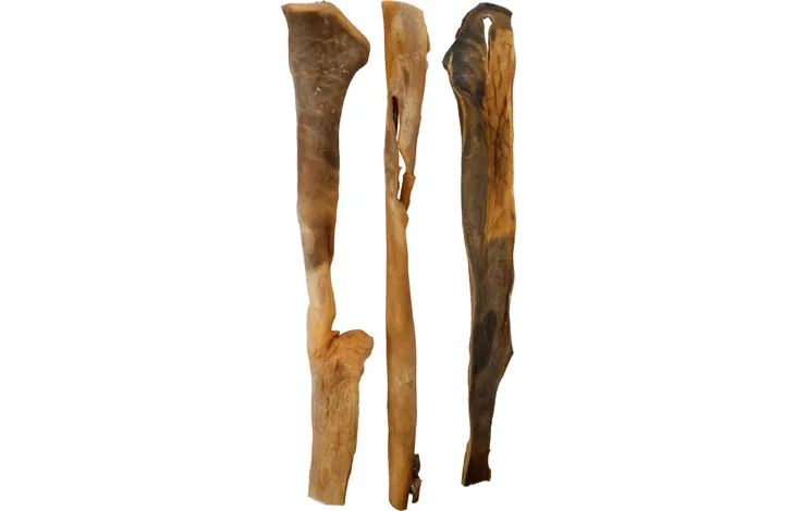 Peau de Chameau 40cm 4pcs 🐫