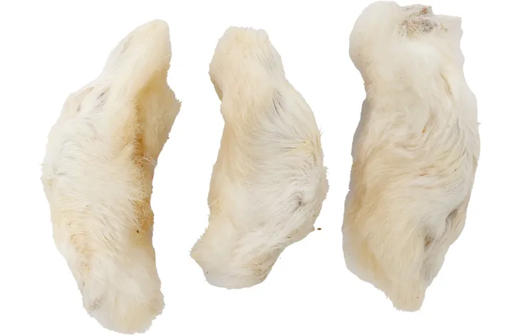 Pattes de lapin avec poils 200g 🐇
