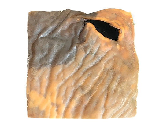Plaque en peau de chameau 20cm 🐫