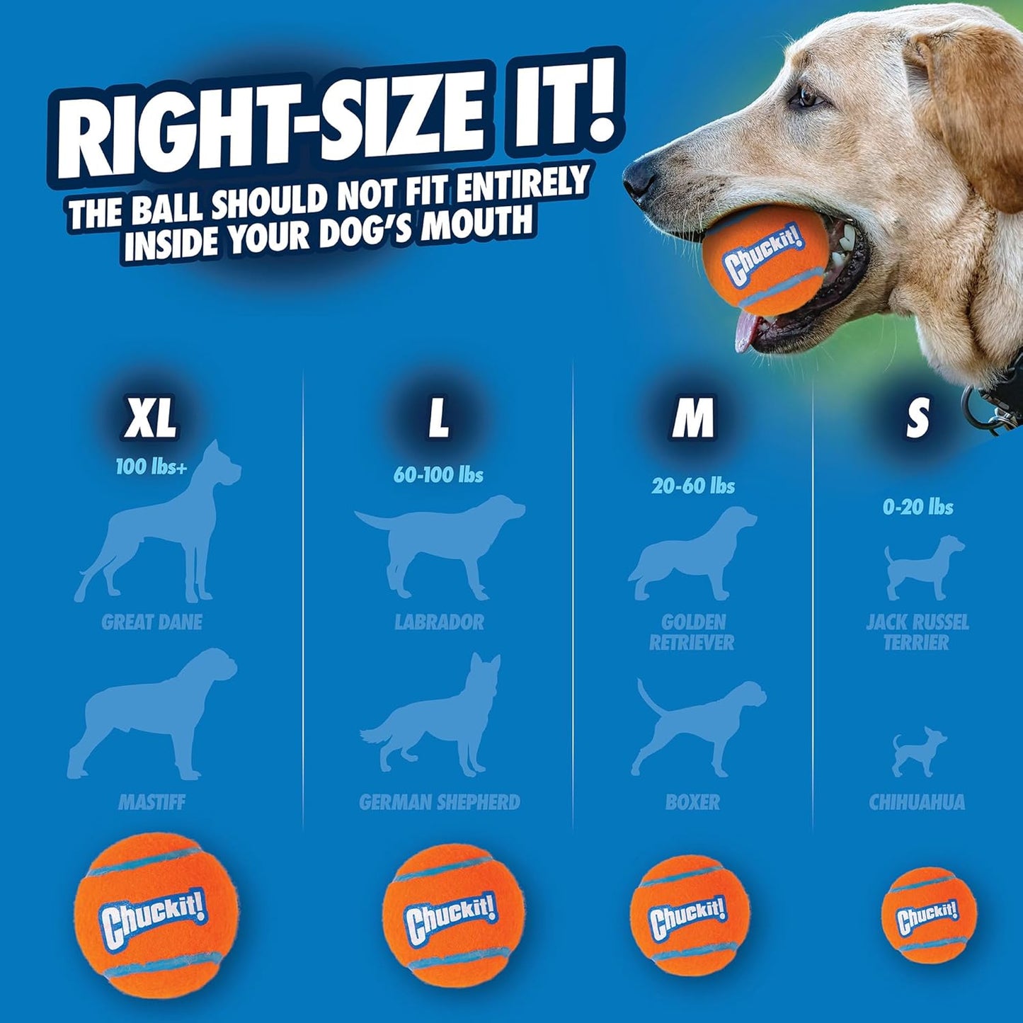 Balle Tennis Ball Chuckit! 2 Pieces S🥎🥎