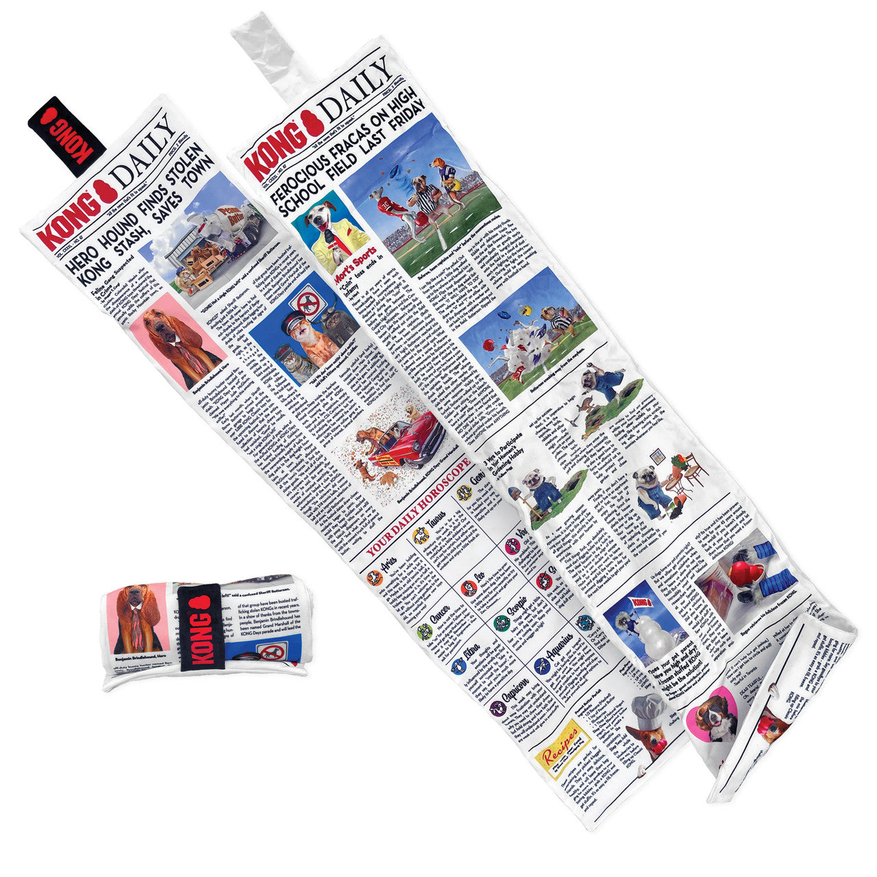 Kong® Daily Journal