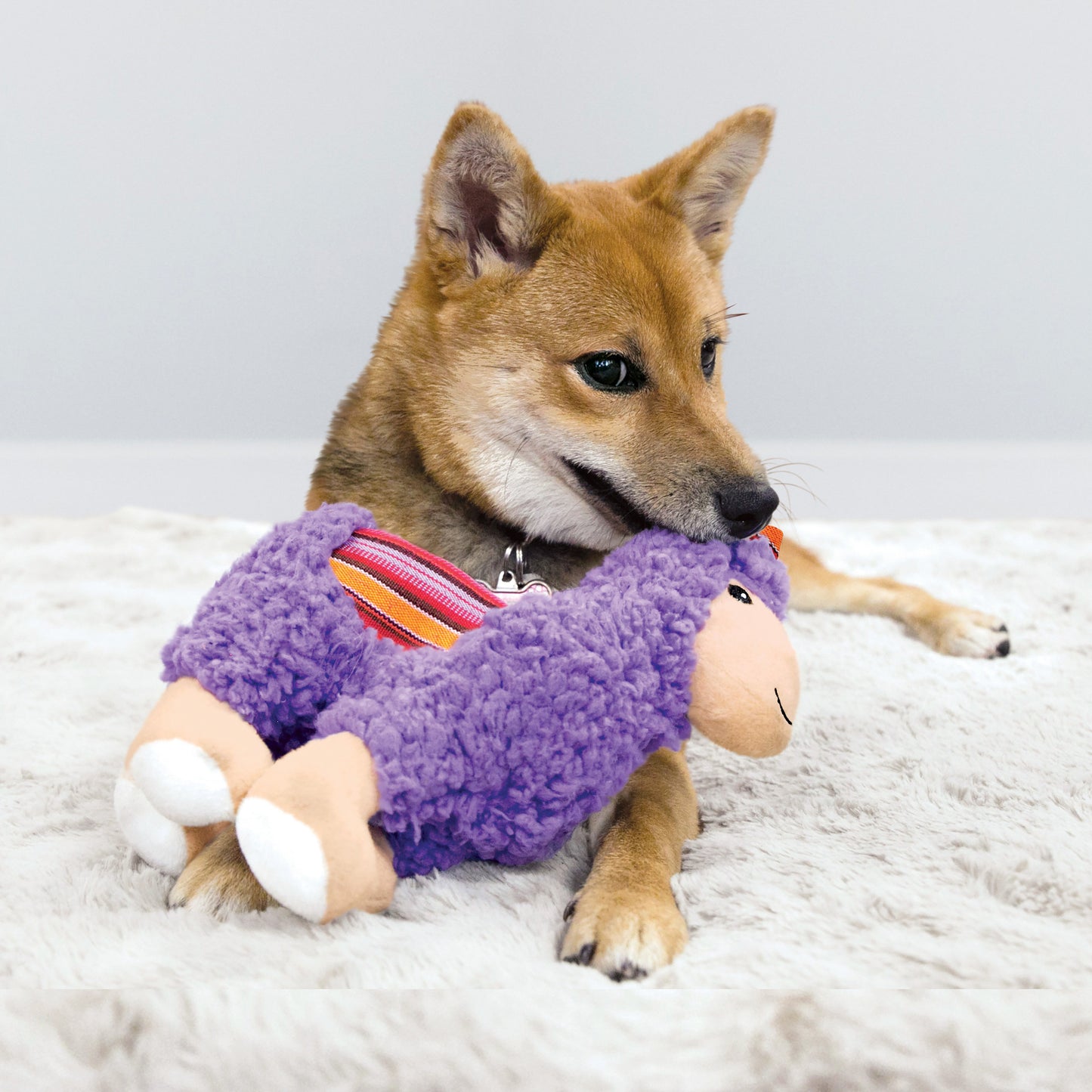 Kong® Sherps Llama
