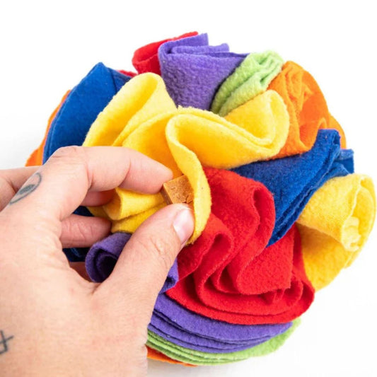Balle de fouille Snuffle  ø15cm🧠