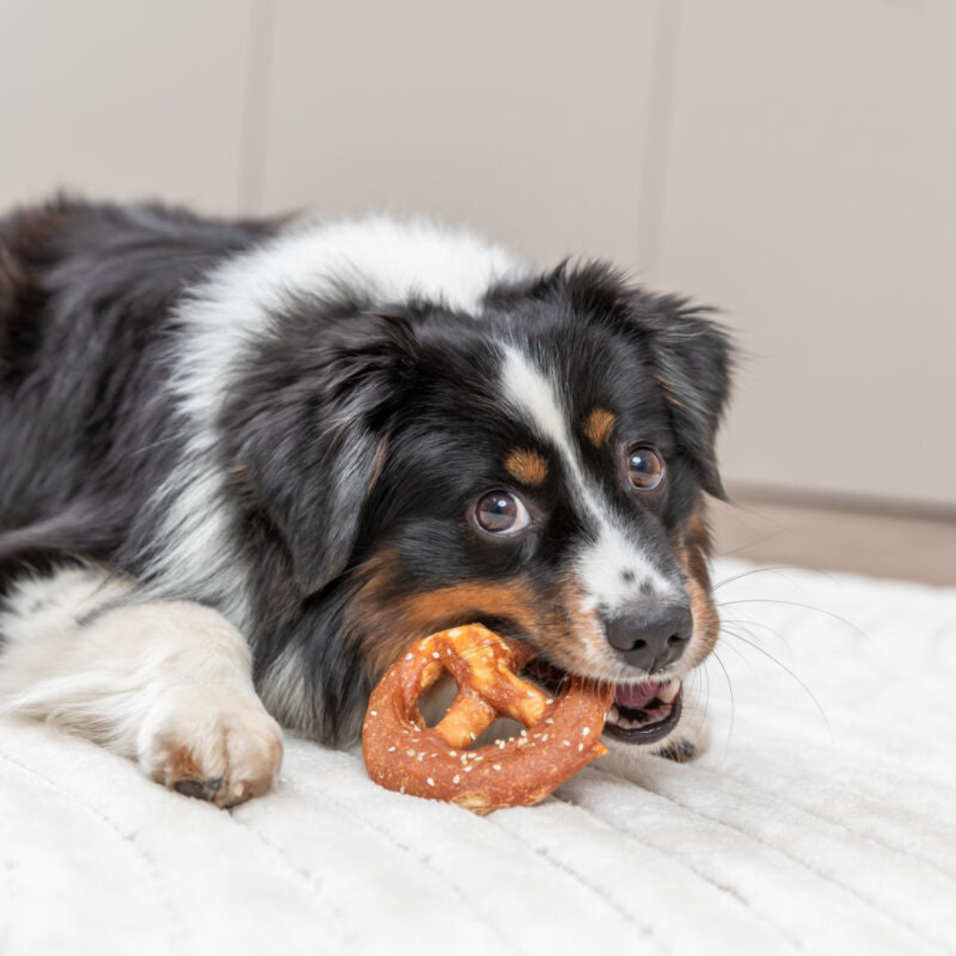 Bretzel au canard