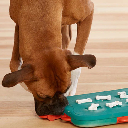 Nina Ottosson - DOG CASINO Niveau 3
