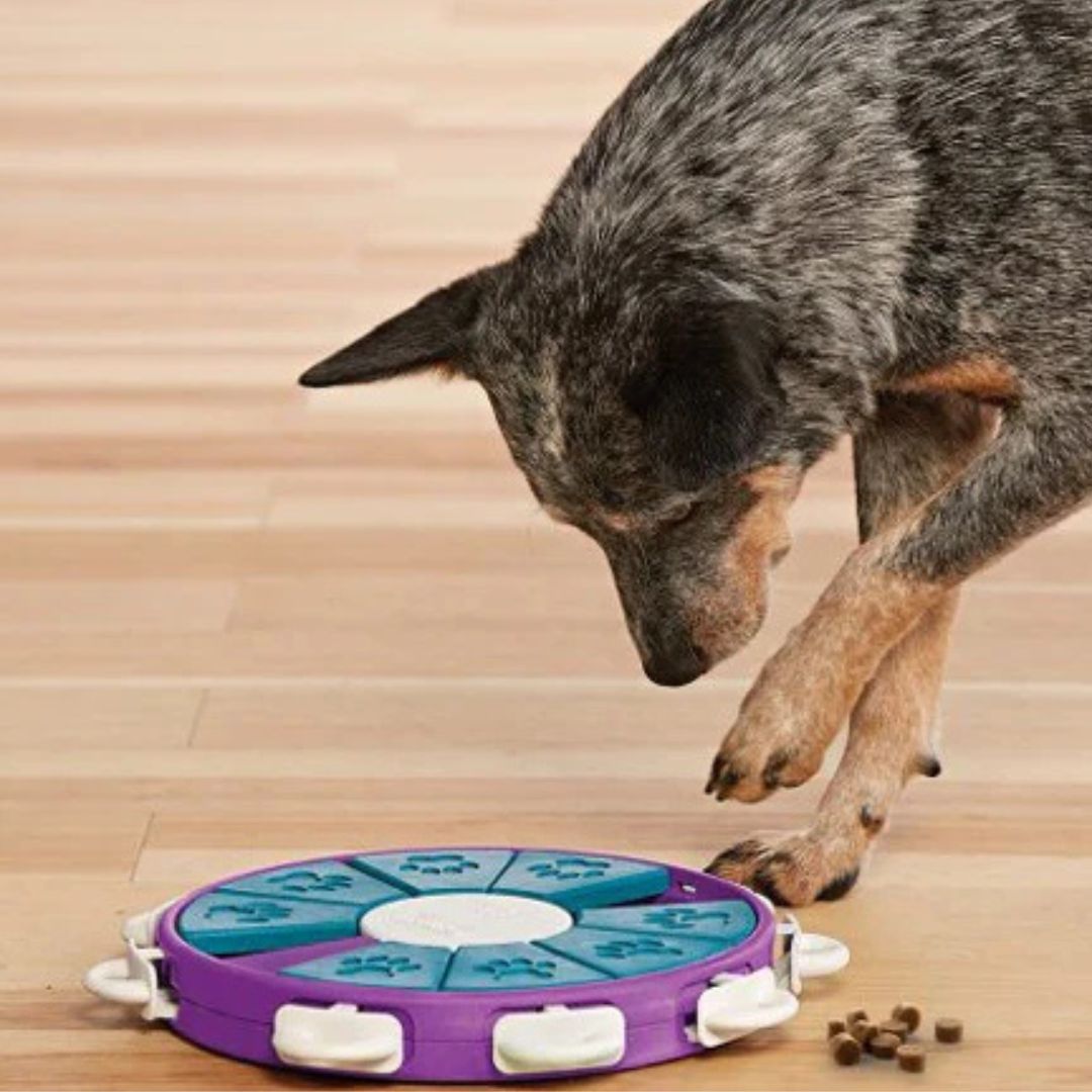 Nina Ottosson - DOG TWISTER Niveau 3
