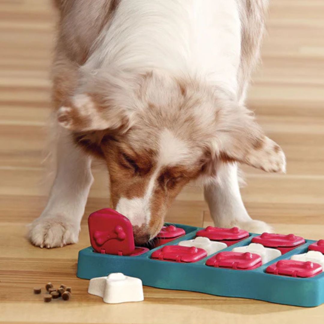 Nina Ottosson - DOG BRICK Niveau 2