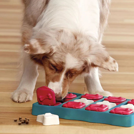 Nina Ottosson - DOG BRICK Niveau 2
