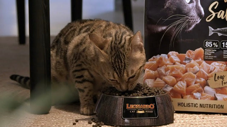 LEONARDO