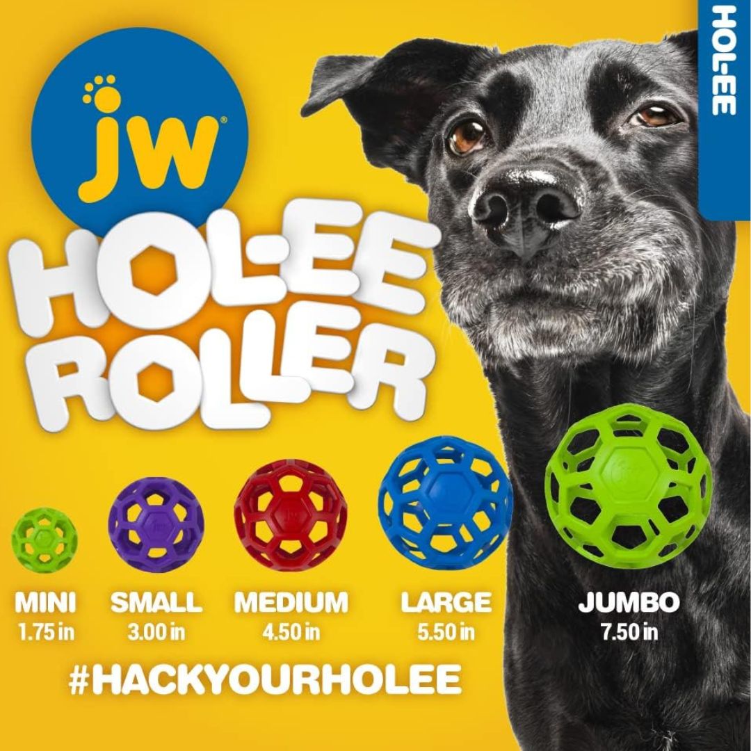JW Hol-ee Roller (couleurs variées)⚽