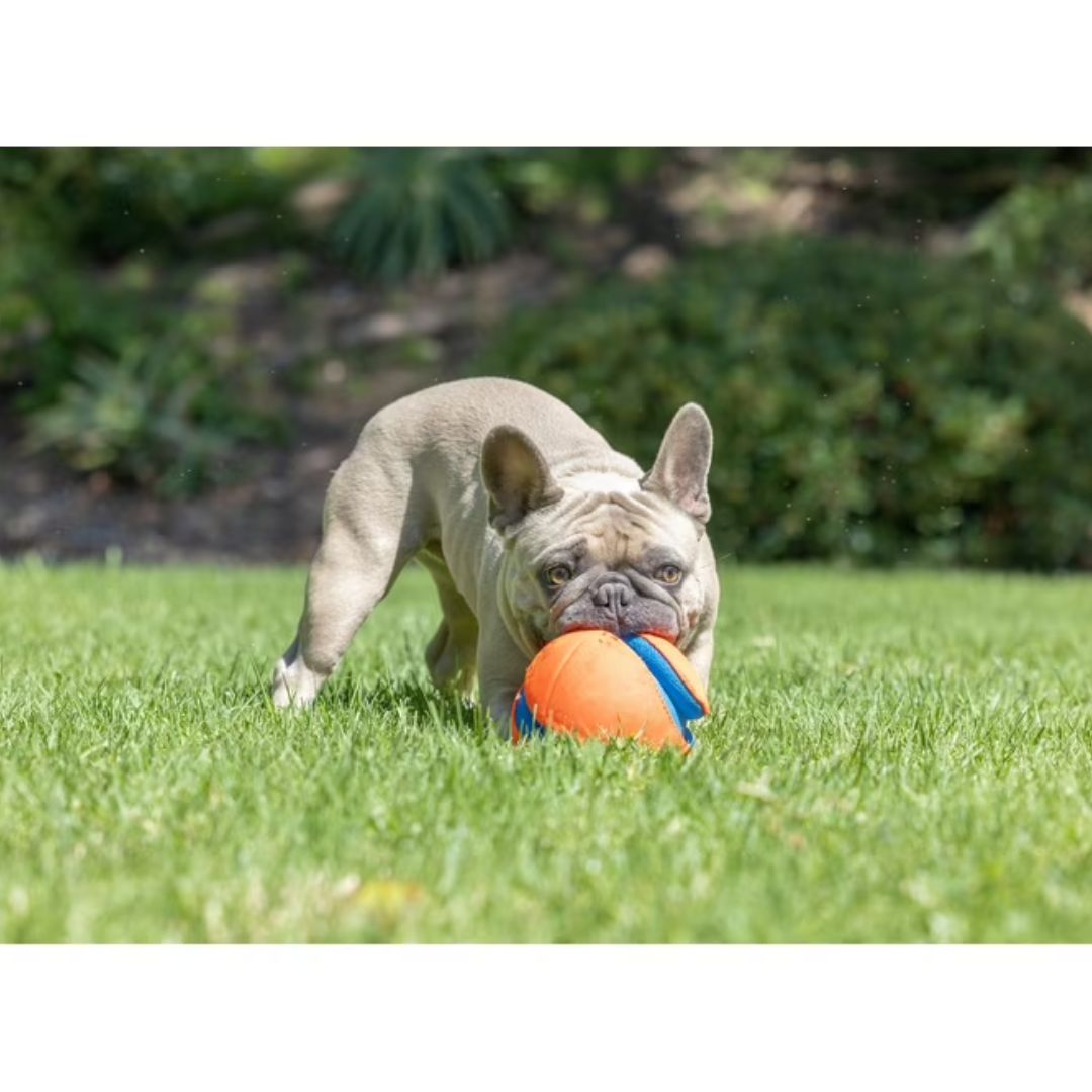 Ballon Kick Fetch Chuckit! ⚽