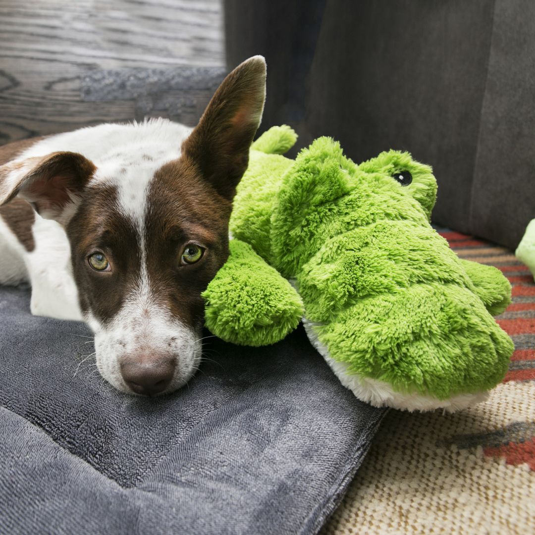 Kong® Cozie Ali Alligator