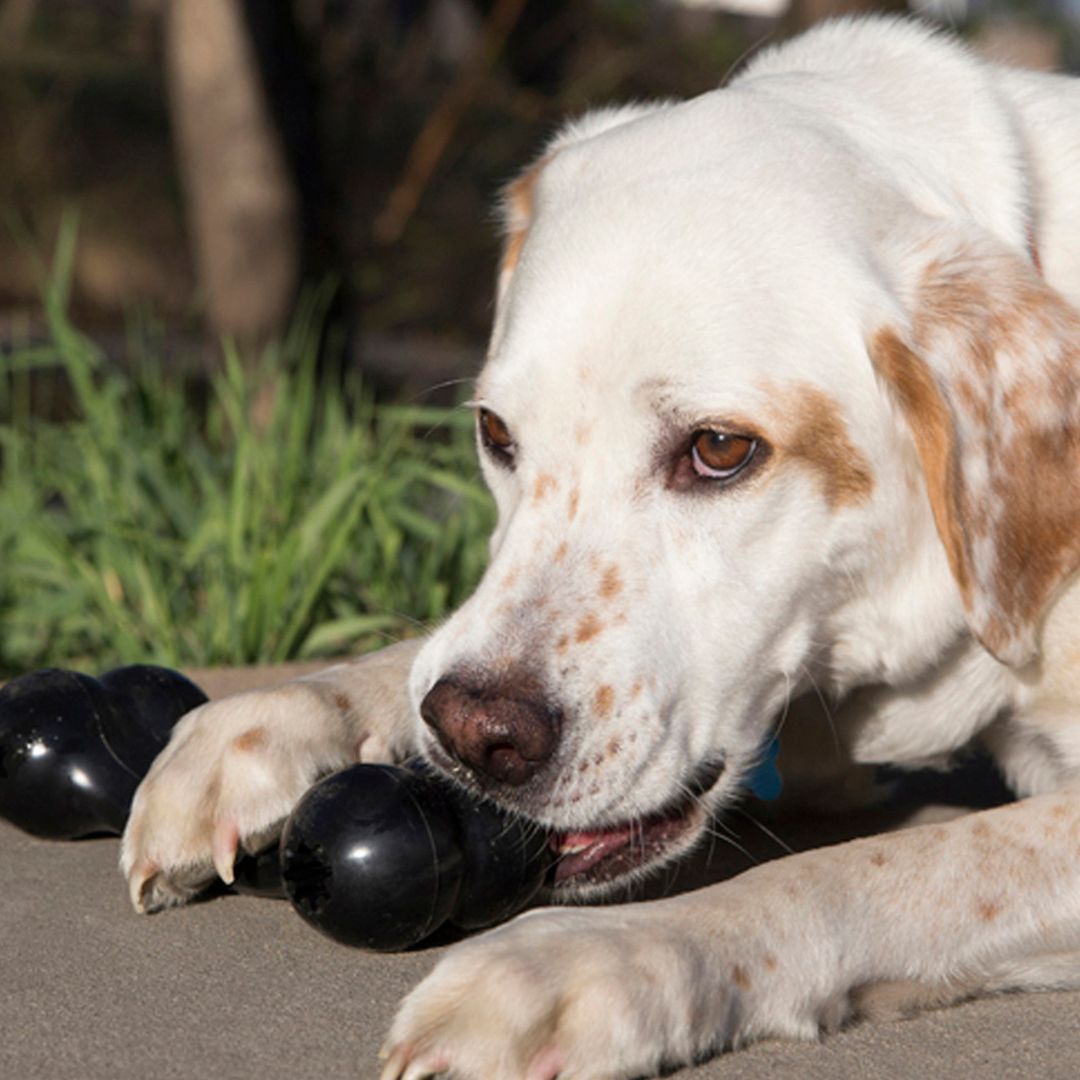 Kong® Extreme Goodie Bone
