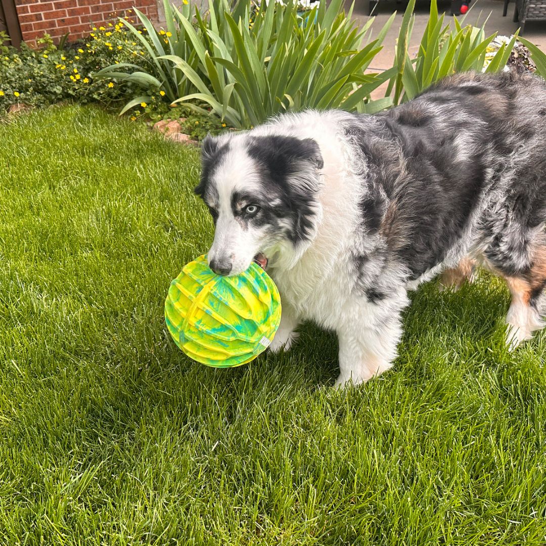 Kong® Flexball Sport Ball